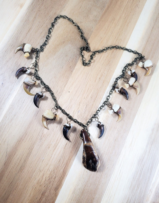 Buffalo Tooth, Bobcat Claw, and Coyote Claw 20" Necklace