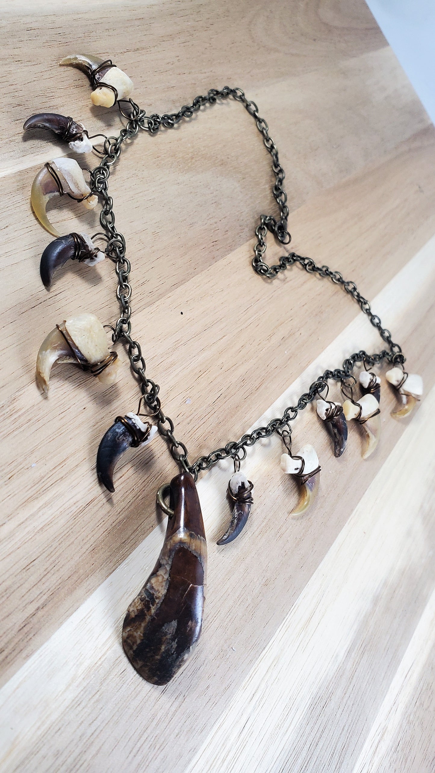 Buffalo Tooth, Bobcat Claw, and Coyote Claw 20" Necklace