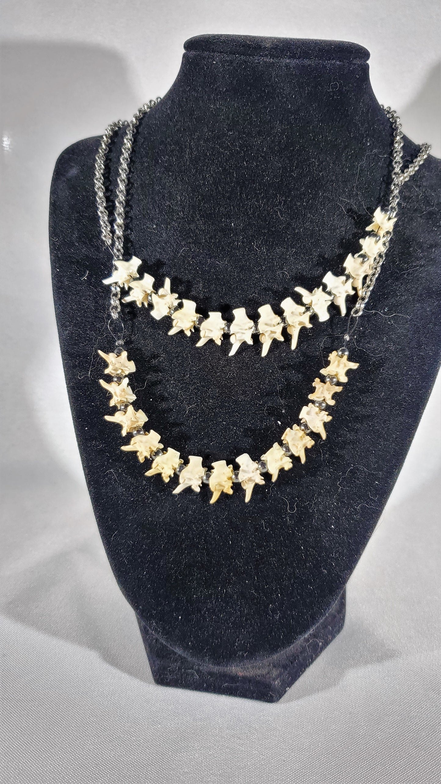 Snake Vertebrae 18" Necklace