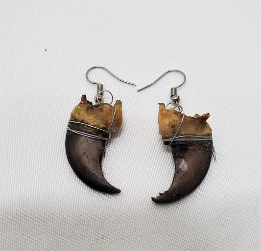 Bear Claw Earrings