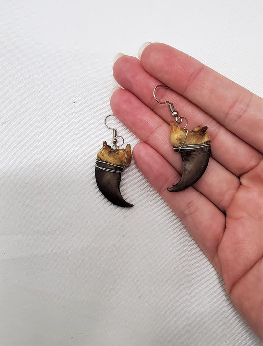 Bear Claw Earrings