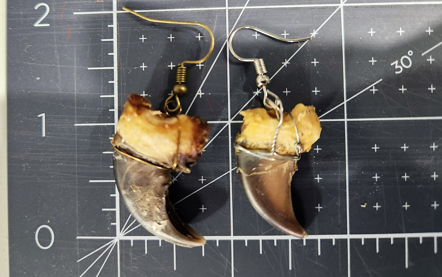 Bear Claw Earrings