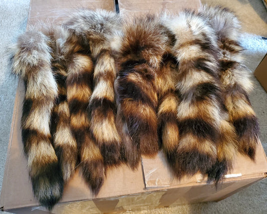 Raccoon Tail Keychain