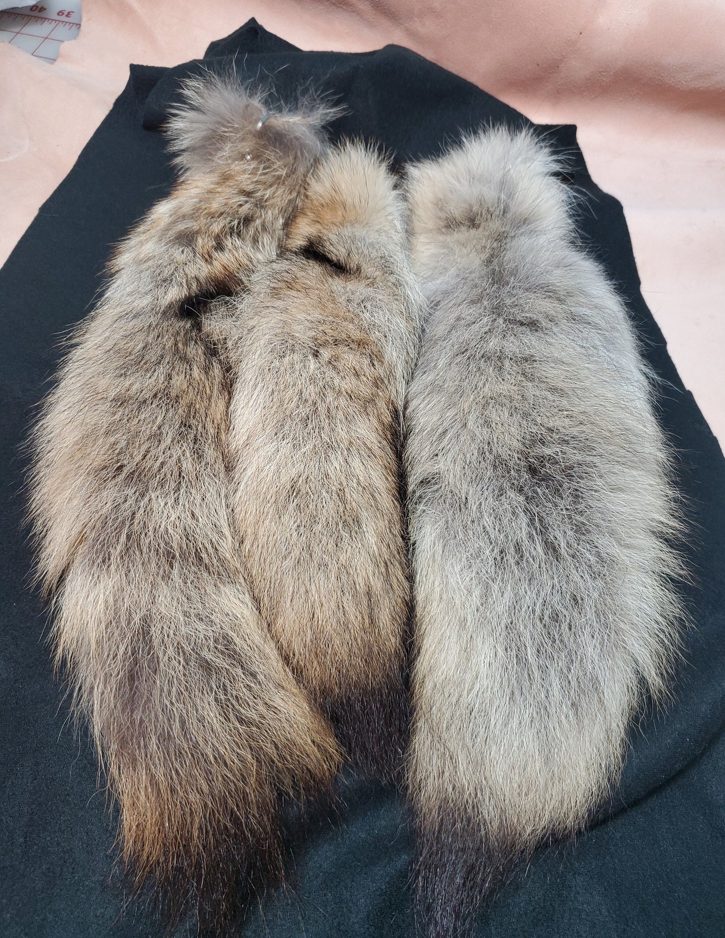 Genuine Coyote Tail Keychain, Soft and Fluffy Real Fur Taxidermy Festival Tail for Costume, Cosplay, or Bag Hanger