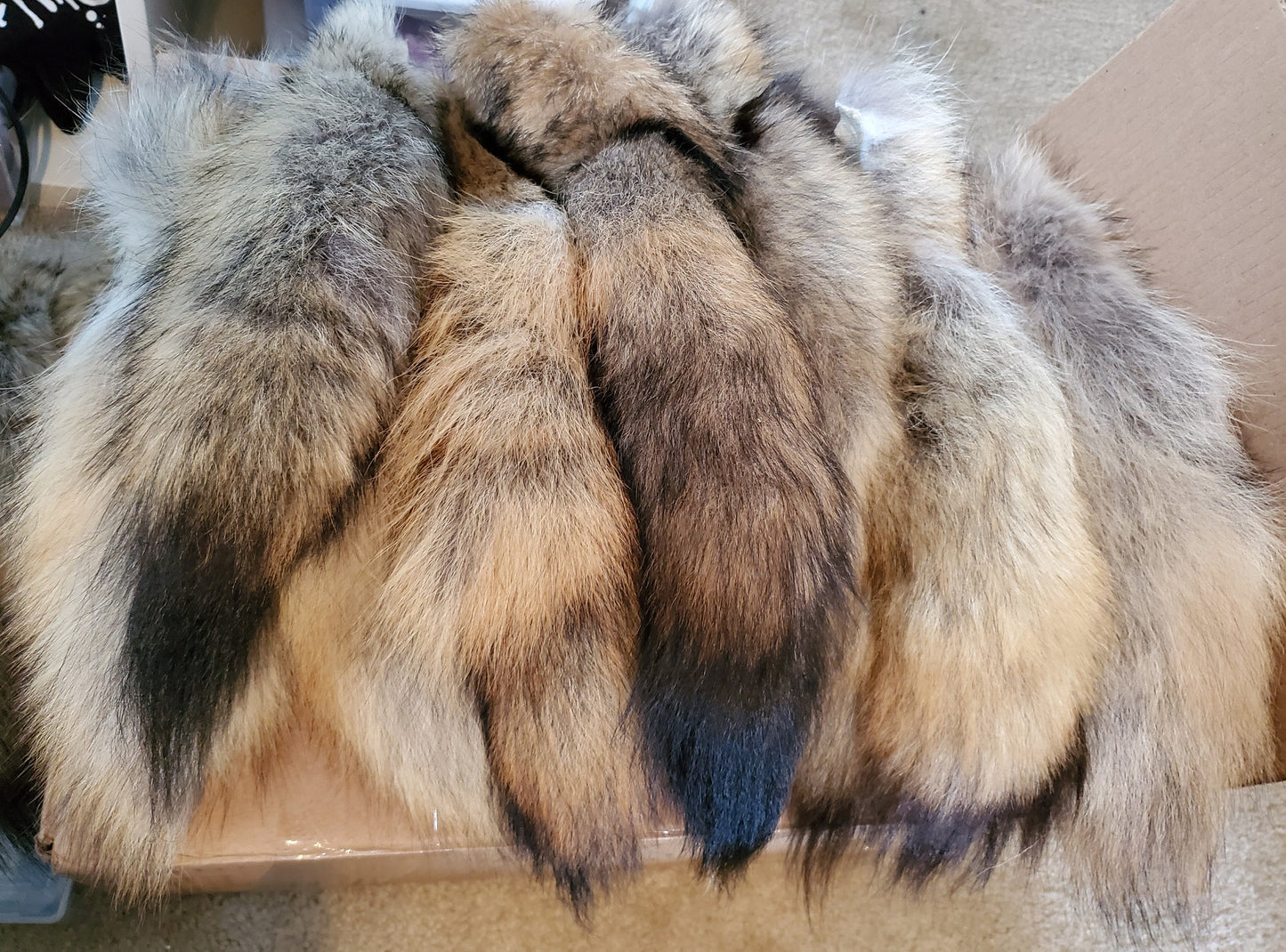 Genuine Coyote Tail Keychain, Soft and Fluffy Real Fur Taxidermy Festival Tail for Costume, Cosplay, or Bag Hanger