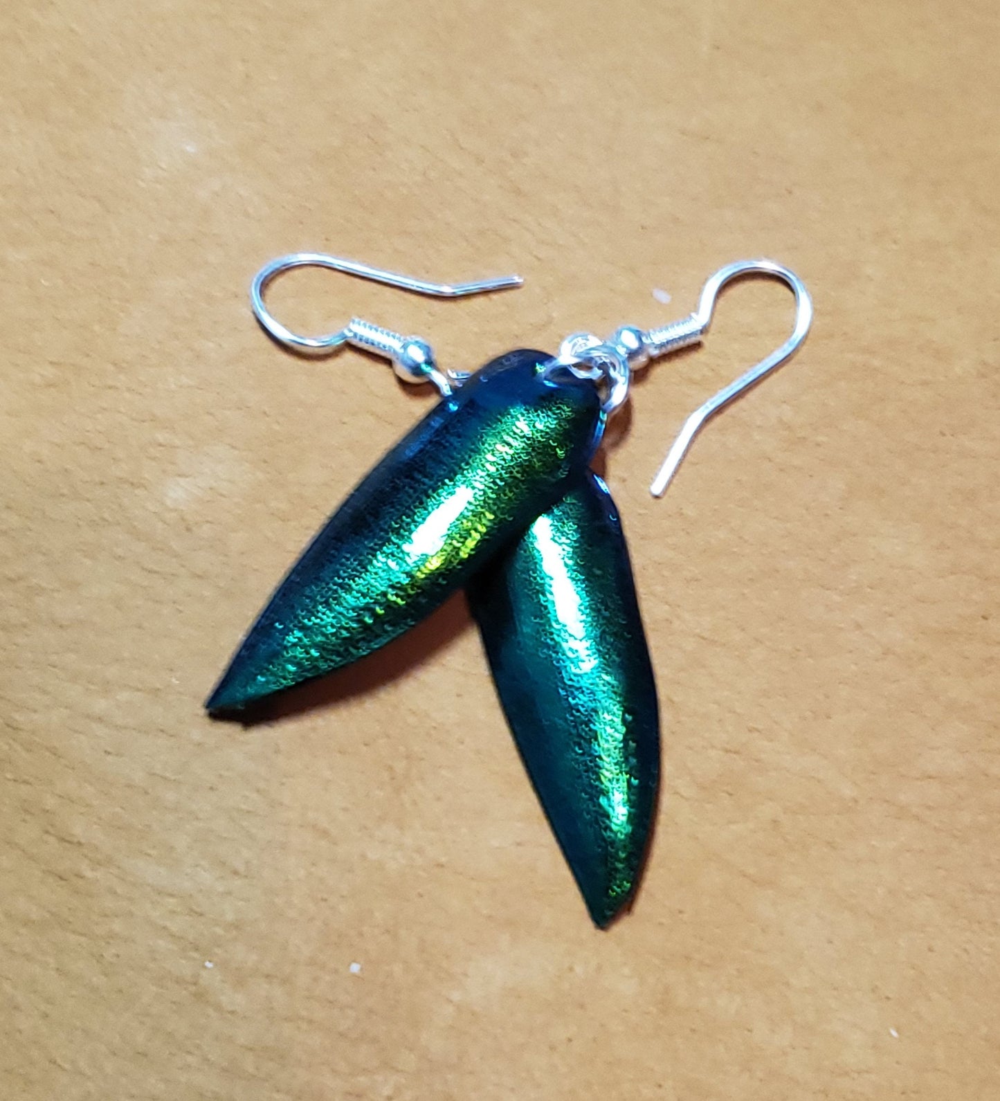 Real Jewel Beetle Wing Earrings, Insect Wings Jewelry