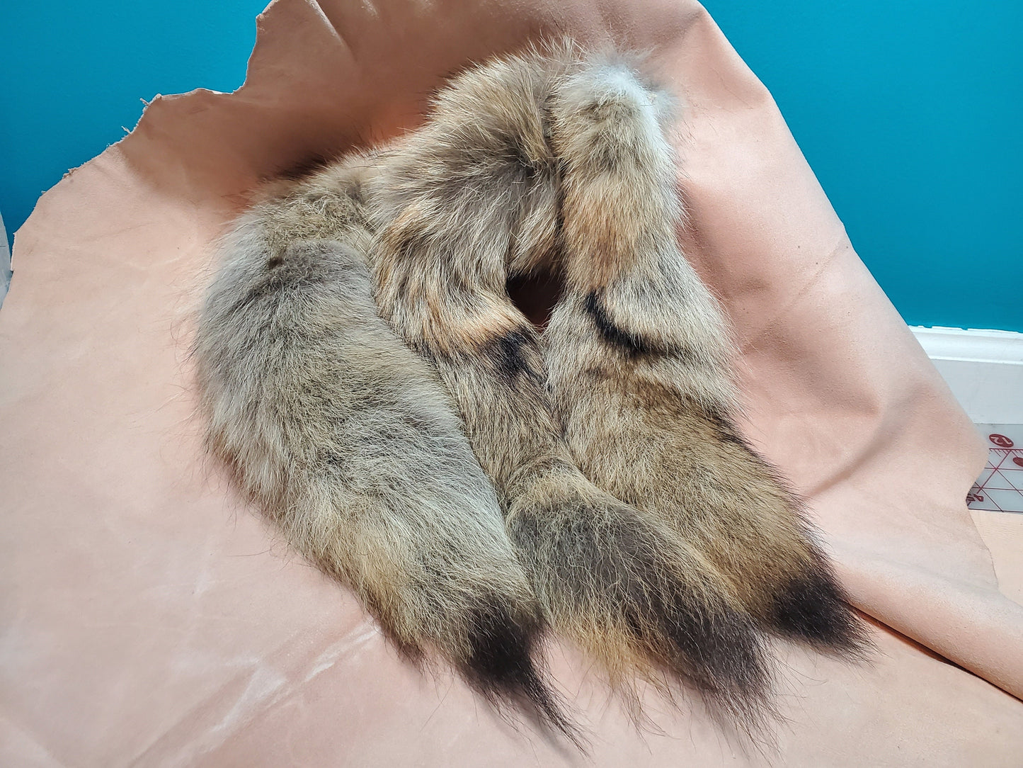 Genuine Coyote Tail Keychain, Soft and Fluffy Real Fur Taxidermy Festival Tail for Costume, Cosplay, or Bag Hanger