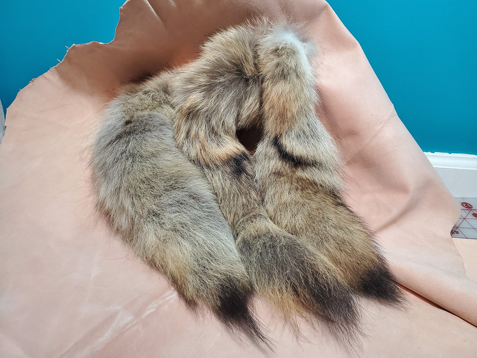 Genuine Coyote Tail Keychain, Soft and Fluffy Real Fur Taxidermy Festival Tail for Costume, Cosplay, or Bag Hanger