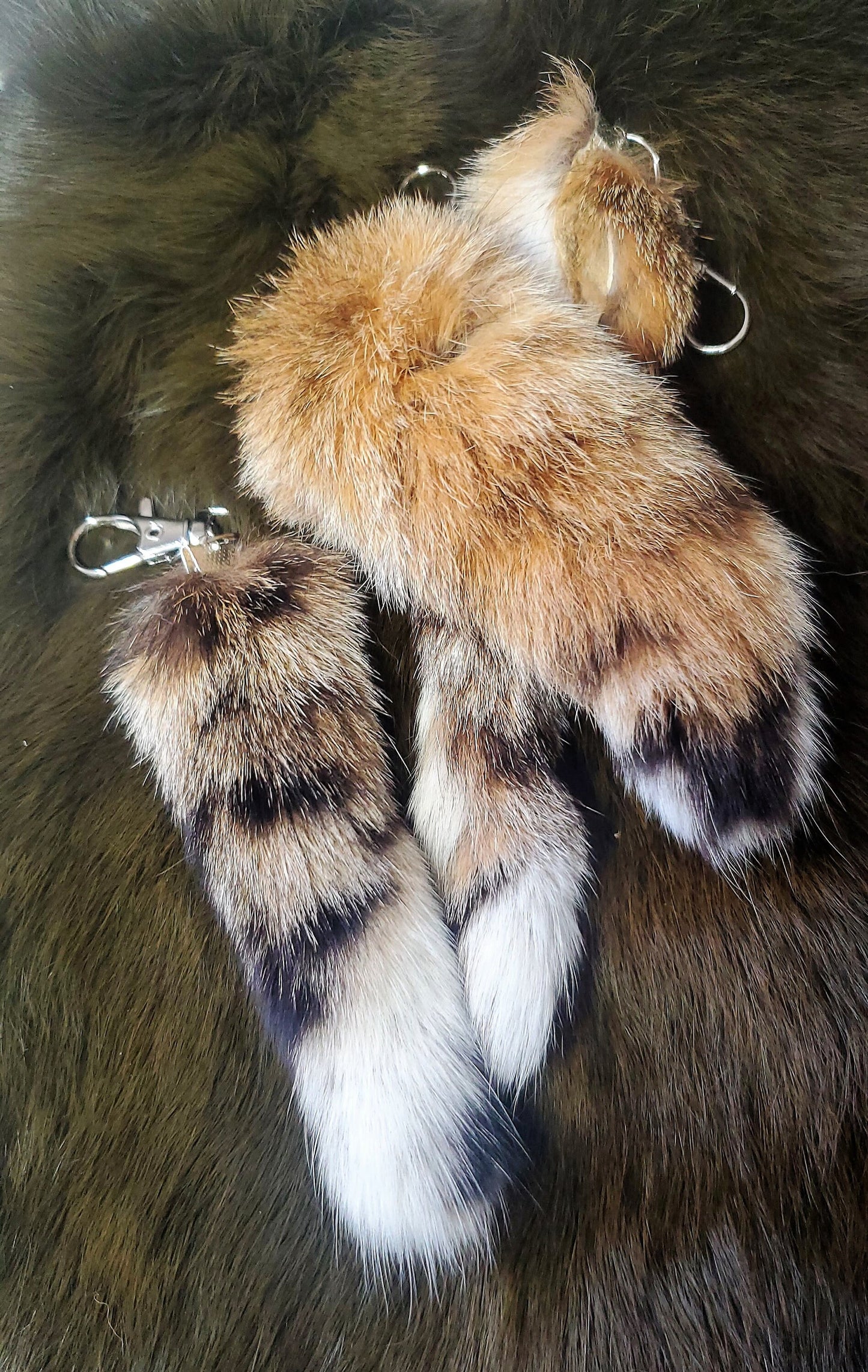 5"-6" Bobcat Tail Keychain, Super Soft and Silky Real Fur Taxidermy Cat Tail for Costume or Cosplay, Purse or Bag Decoration