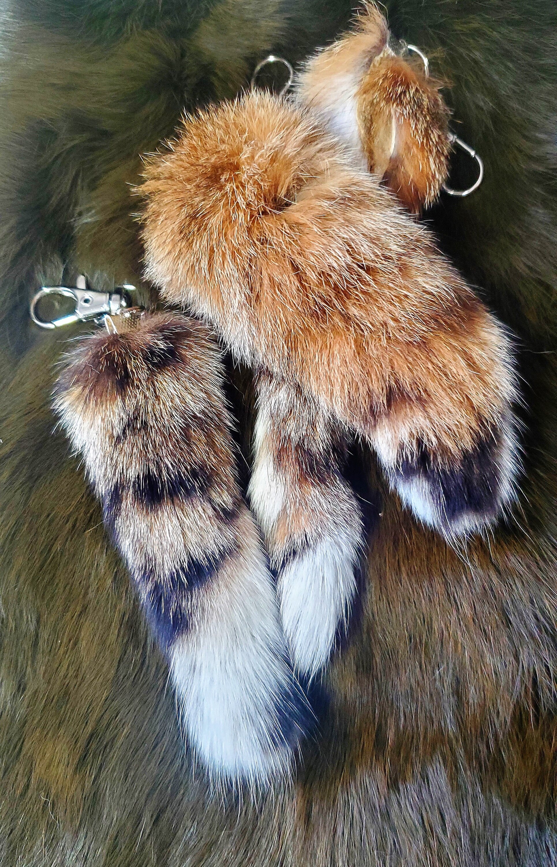 5"-6" Bobcat Tail Keychain, Super Soft and Silky Real Fur Taxidermy Cat Tail for Costume or Cosplay, Purse or Bag Decoration