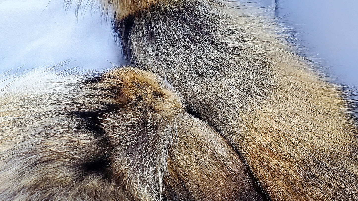 Genuine Coyote Tail Keychain, Soft and Fluffy Real Fur Taxidermy Festival Tail for Costume, Cosplay, or Bag Hanger