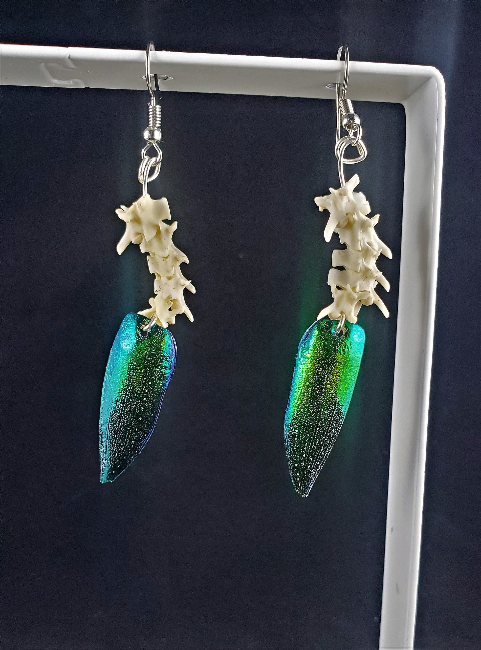 Rattlesnake Vertebrae Drop Earrings, Real Bone Snake Spine Jewelry