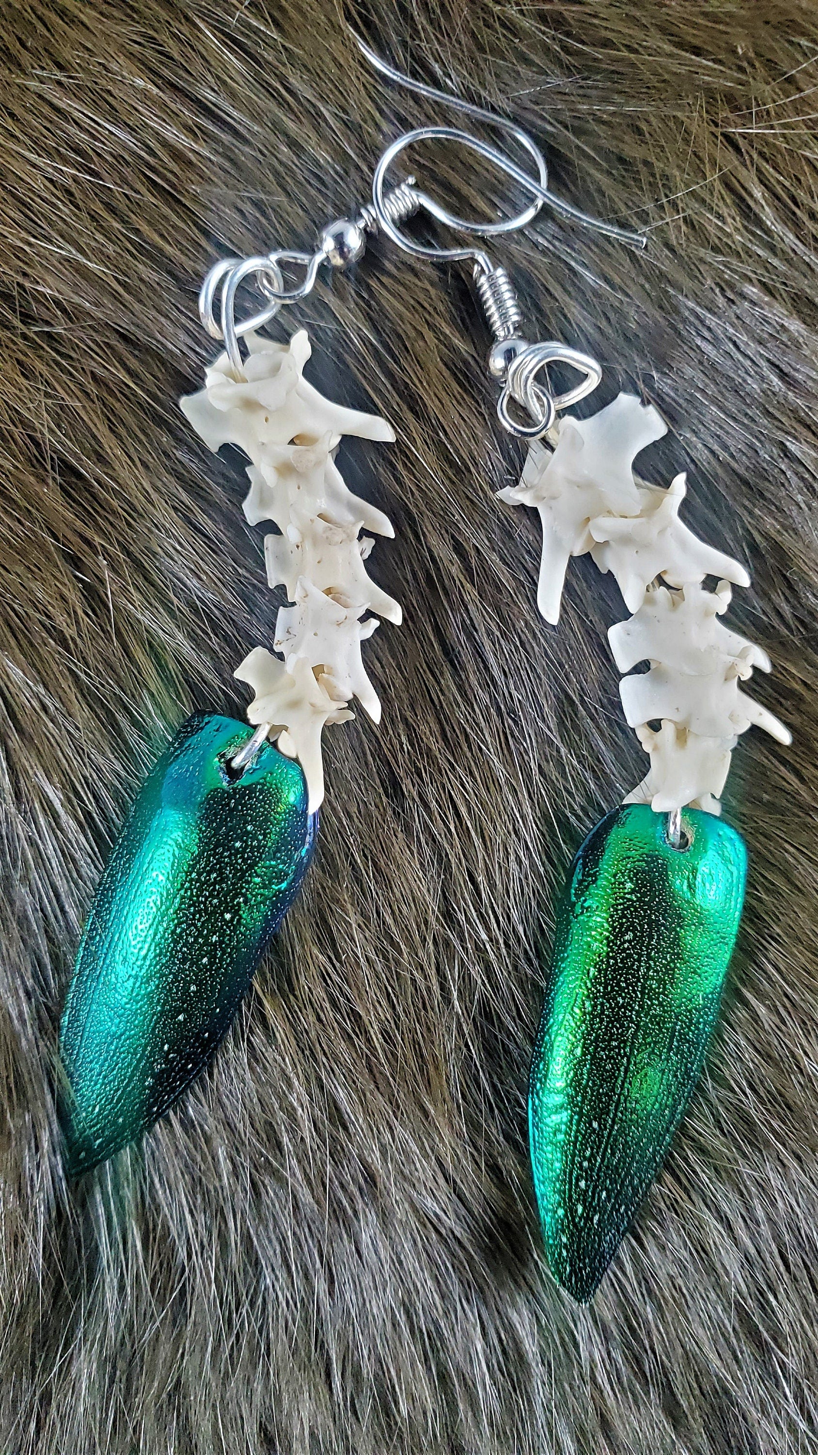 Rattlesnake Vertebrae Drop Earrings, Real Bone Snake Spine Jewelry