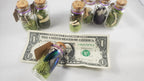 Small Curiosity Jars, 2.5" Tall Various Collector's Vulture Culture Terrarium Oddities, Bones, Teeth, Quills, and More