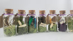 Small Curiosity Jars, 2.5" Tall Various Collector's Vulture Culture Terrarium Oddities, Bones, Teeth, Quills, and More
