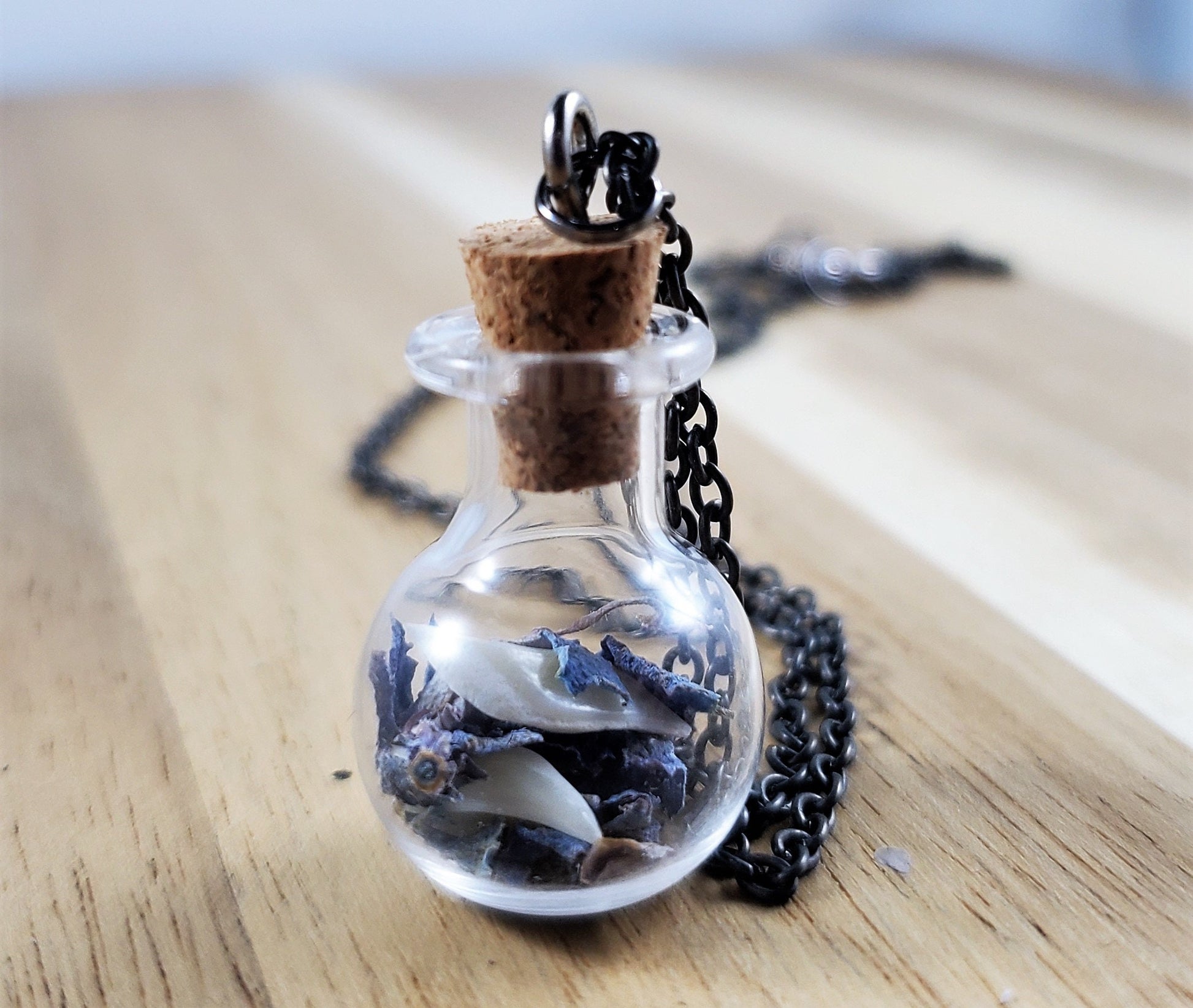 18" Curiosity Jar Necklace with Silver Chain; Real Bone Jar Jewelry with Rattlesnake Ribs and Vertebrae, Gift for Vulture Culture Fans