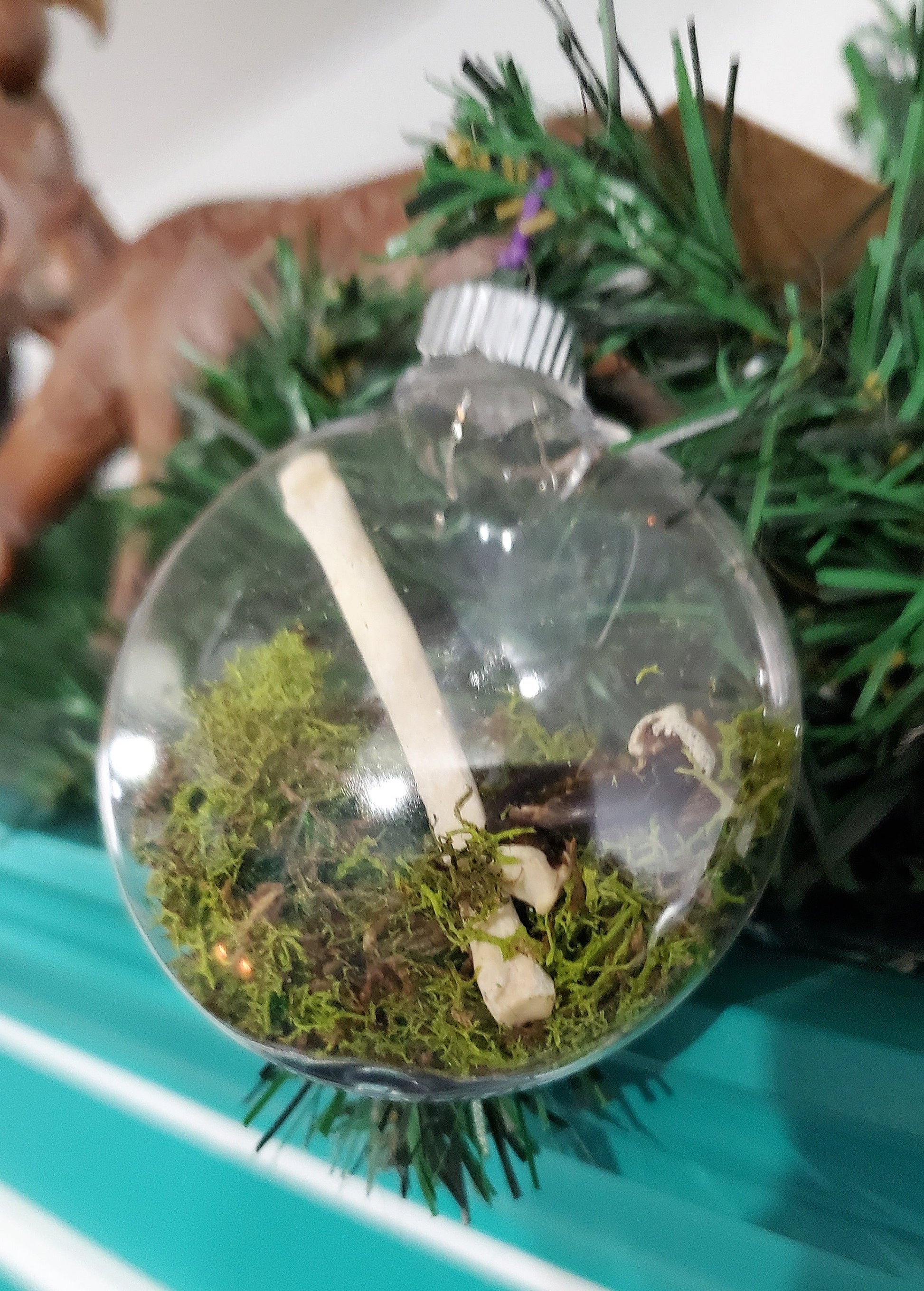 Oddity Ornament, Real Coyote Bones and Claws with Moss in Clear Hanging Ball, Curiosity Terrarium Christmas Hanger, Vulture Culture Decor