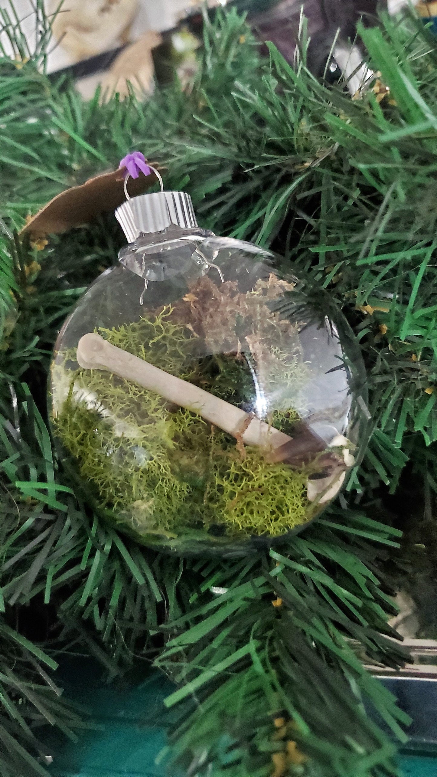 Oddity Ornament, Real Coyote Bones and Claws with Moss in Clear Hanging Ball, Curiosity Terrarium Christmas Hanger, Vulture Culture Decor