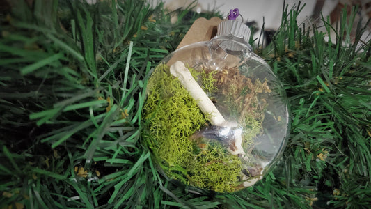 Oddity Ornament, Real Coyote Bones and Claws with Moss in Clear Hanging Ball, Curiosity Terrarium Christmas Hanger, Vulture Culture Decor