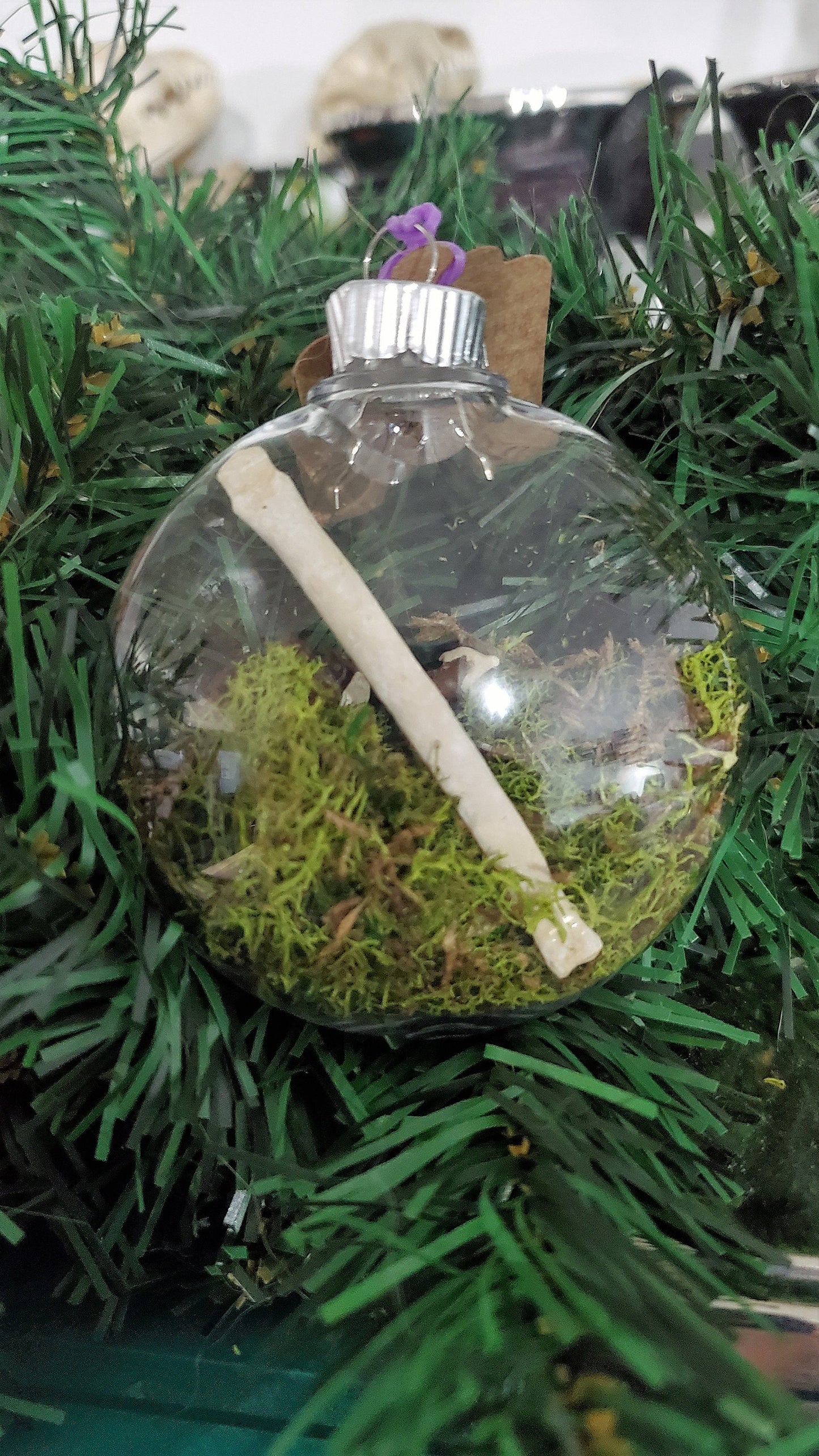 Oddity Ornament, Real Coyote Bones and Claws with Moss in Clear Hanging Ball, Curiosity Terrarium Christmas Hanger, Vulture Culture Decor