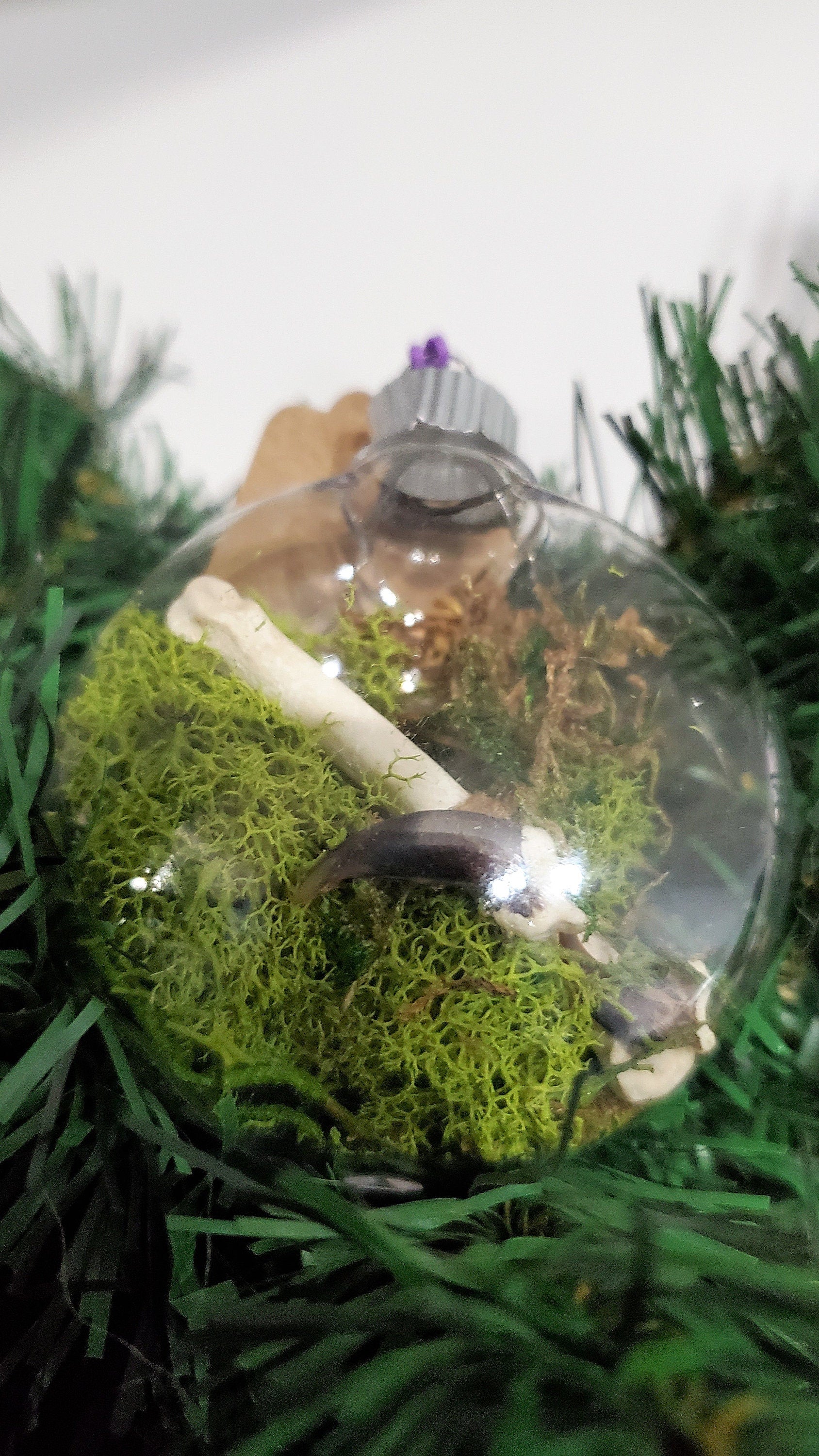 Oddity Ornament, Real Coyote Bones and Claws with Moss in Clear Hanging Ball, Curiosity Terrarium Christmas Hanger, Vulture Culture Decor