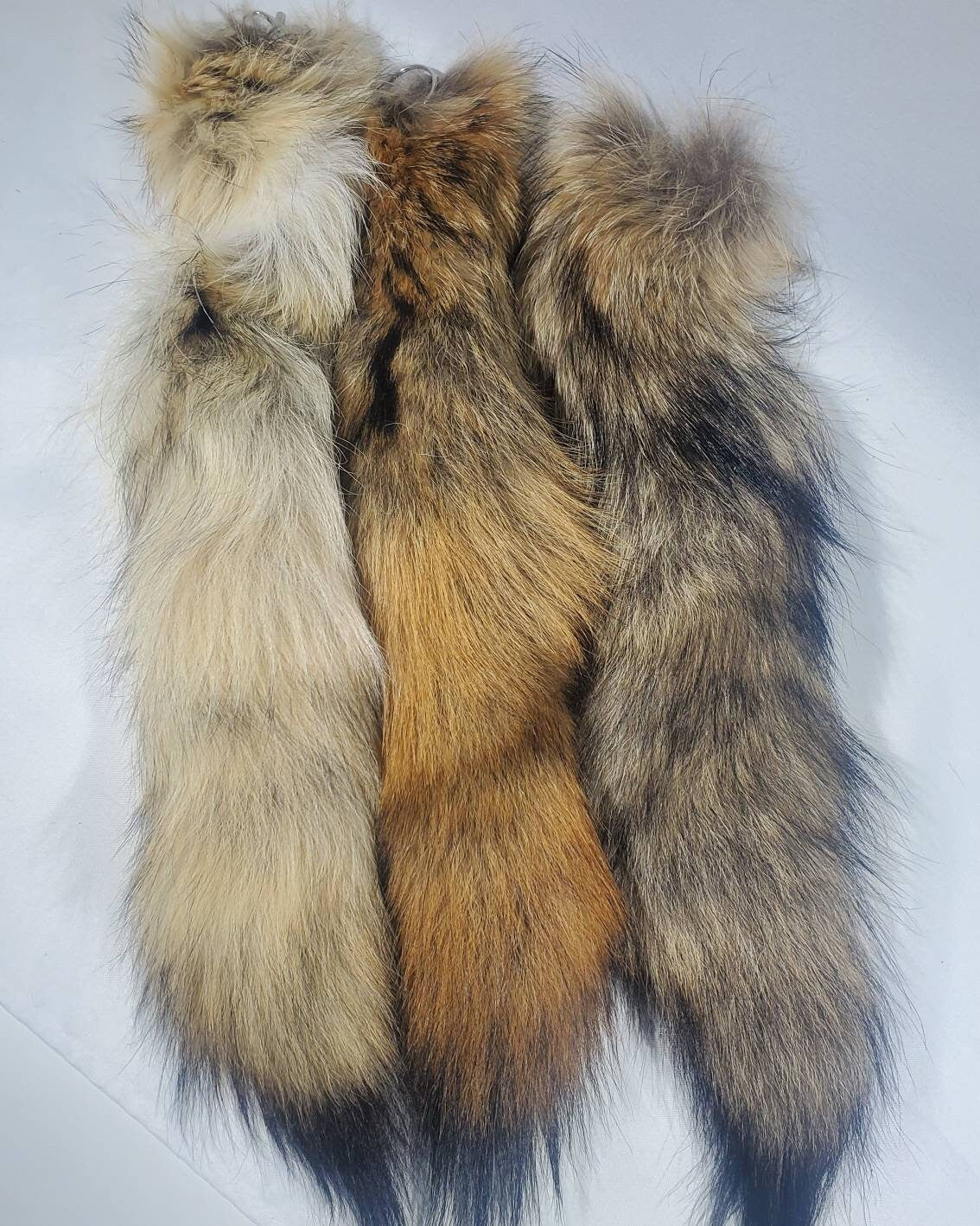 Genuine Coyote Tail Keychain, Soft and Fluffy Real Fur Taxidermy Festival Tail for Costume, Cosplay, or Bag Hanger