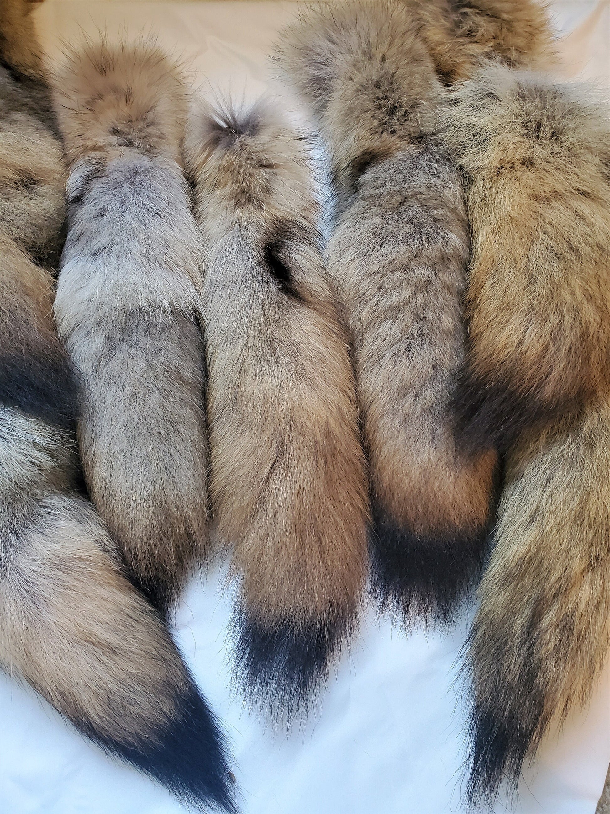 Genuine Coyote Tail Keychain, Soft and Fluffy Real Fur Taxidermy Festival Tail for Costume, Cosplay, or Bag Hanger